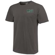 Michigan State Image One Stadium Beautiful Day Comfort Colors Tee